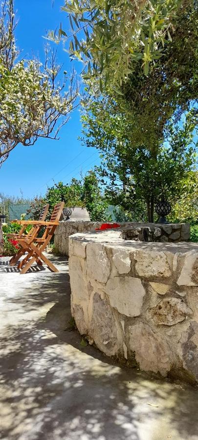 Apartment Margarita's Stone House